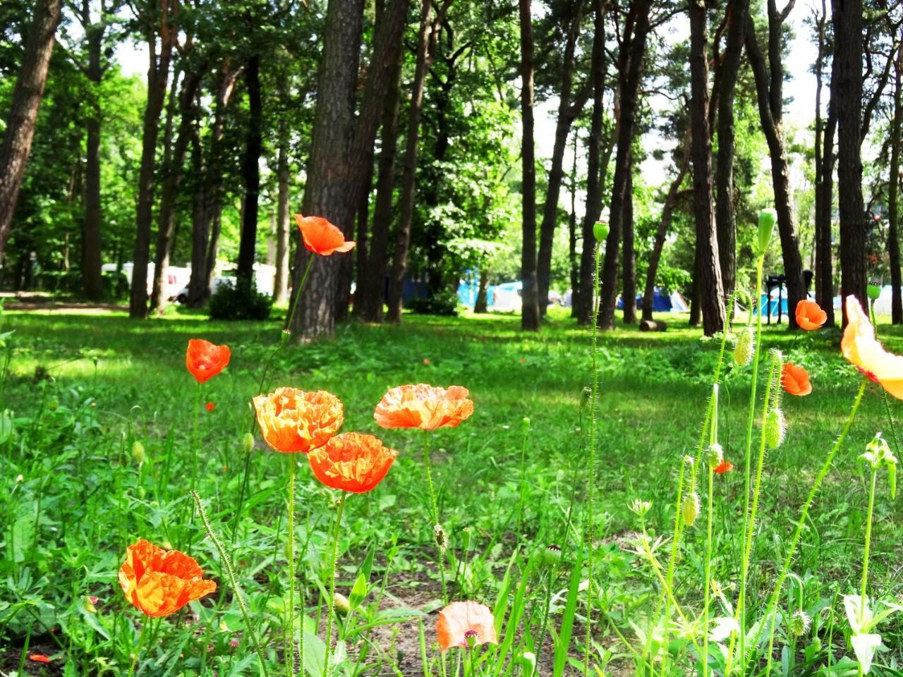 Sopot 34 Przy Plazy Villa Luaran gambar